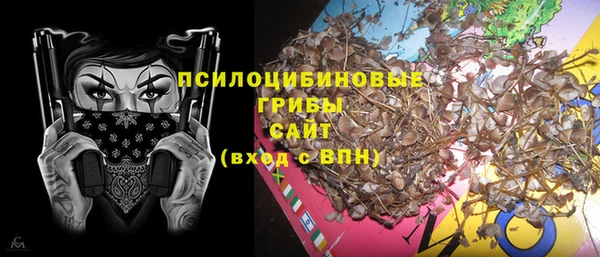 гашик Горно-Алтайск