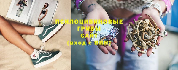 apvp Гусиноозёрск