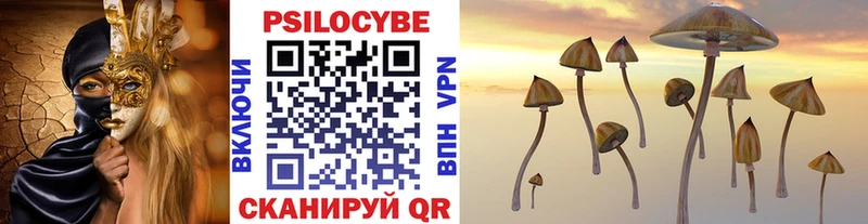 Купить  Людиново  Псилоцибиновые грибы Psilocybine cubensis 