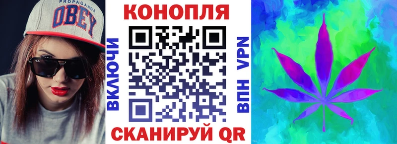 Купить закладки  Людиново  МАРИХУАНА план 